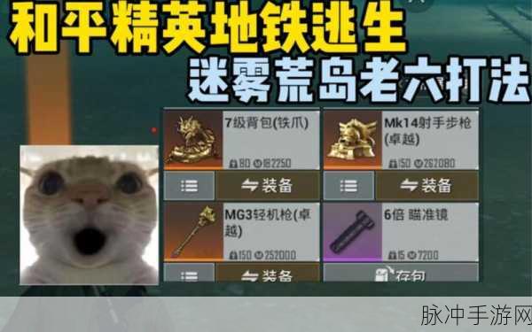 和平精英新手高效搜索玩家技巧,开荒必备全攻略!