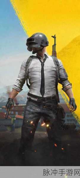 绝地求生刺激战场测试服资格获取全攻略