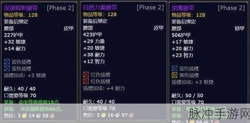 魔兽世界8.0制皮图纸获取全攻略,打造专属装备的秘密
