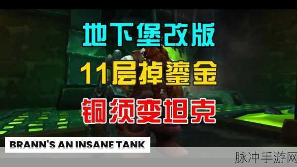 魔兽世界手游攻略,冰冷的肉掉落地点大揭秘,快速获取秘籍!