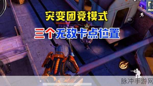 和平精英突变团竞无敌点揭秘,全面卡点位置攻略