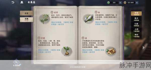 不良人3新手角色选择全攻略，开启你的江湖之旅