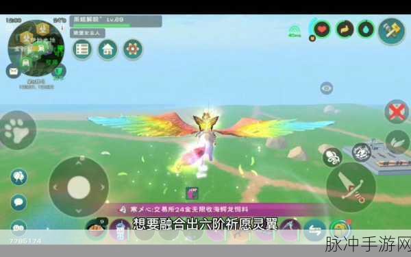 创造与魔法祈愿灵翼进阶六所需资质全面解析