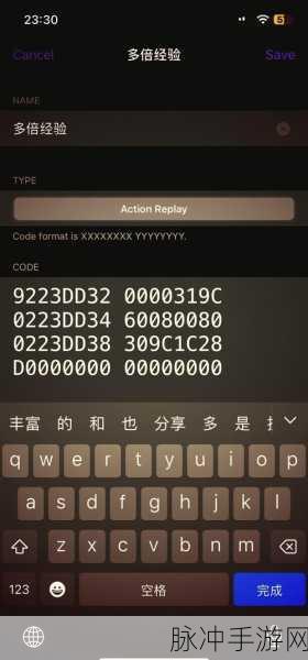 口袋妖怪燃之智，全面解析金手指开启方法