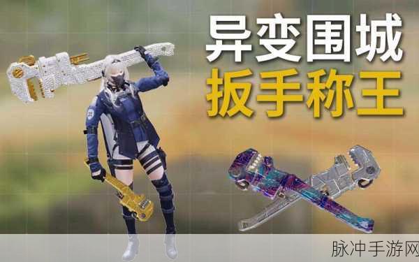 使命召唤扳手攻略，掌握技巧，轻松获取顶级装备