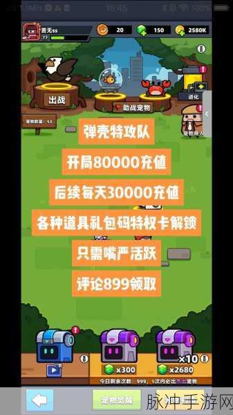 弹壳特攻队钻石攻略,合法获取与避免非法修改代码