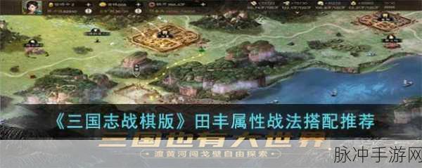 三国志·战棋版深度攻略，田丰怎么玩？