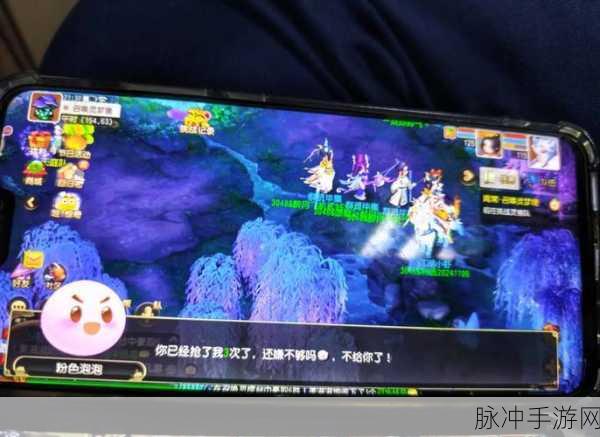 梦幻西游手游泡泡乐园全面解析,九婴关卡深度图文攻略指南