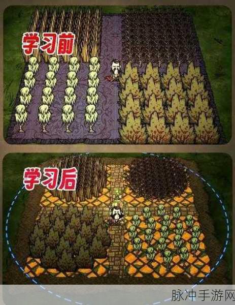 饥荒手游，详解门的制作与运用攻略