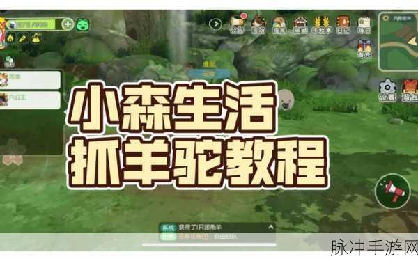 小森生活彩色羊驼寻觅指南，位置分享与捕捉攻略