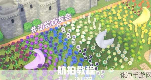小森生活全新拍照玩法深度解析与创意拍摄攻略全览