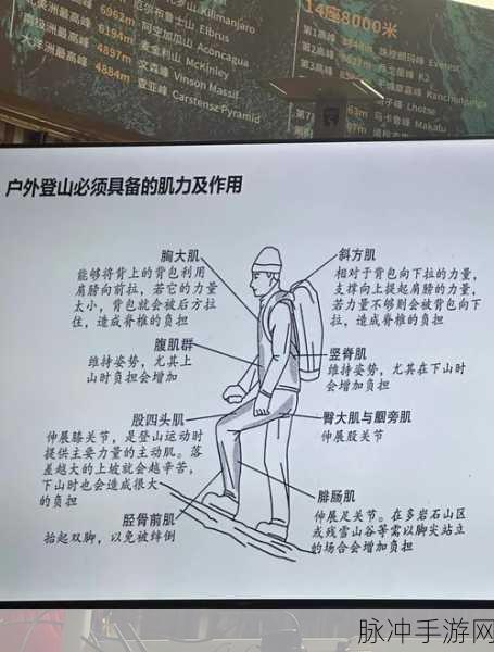 超凡先锋中转大楼登顶秘籍，攀爬技巧全面解析