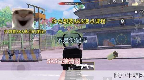 和平精英SKS深度解析，伤害数据、使用技巧与图鉴介绍