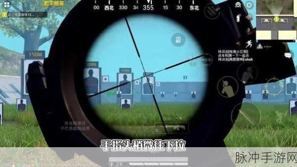 和平精英SKS深度解析,伤害数据、使用技巧与图鉴介绍