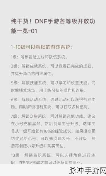 DNF手游玩家必看,详解仓库锁设置方法与重要性
