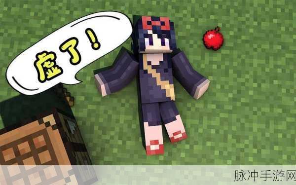 我的世界深度攻略,揭秘天骐与仙仙的奇妙关系