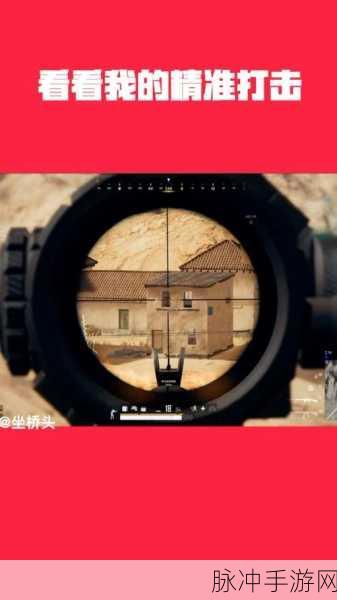 绝地求生手游屏息使用全攻略,精准打击的秘诀