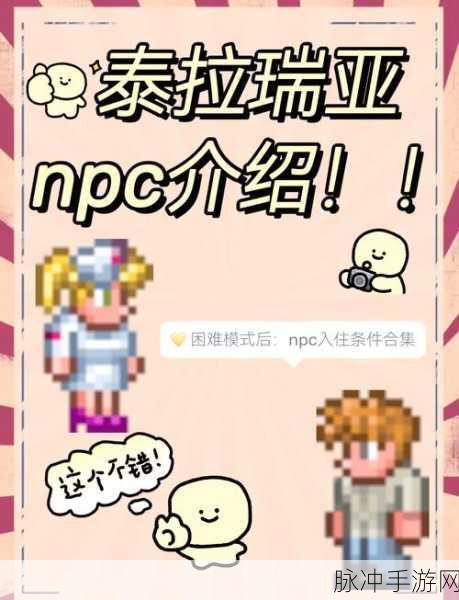 泰拉瑞亚新角色大揭秘，收税官入驻全攻略及作用深度剖析