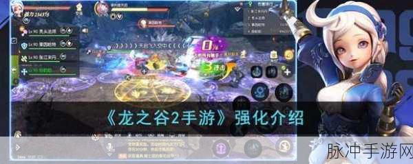 龙之谷2手游刷图宠物选择全攻略