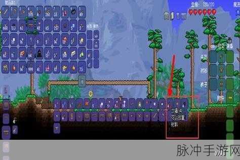 泰拉瑞亚游戏深度探索,揭秘丛林爬行者的生存与战斗攻略
