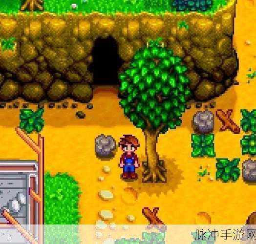 星露谷物语深度探索，揭秘山洞位置与玩法攻略