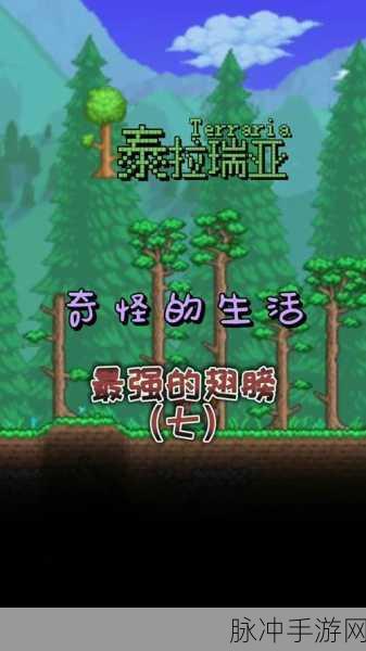 泰拉瑞亚手机版,翅膀制作全攻略,助你翱翔天际