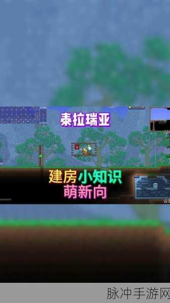 泰拉瑞亚旗帜作用全解析及实战攻略