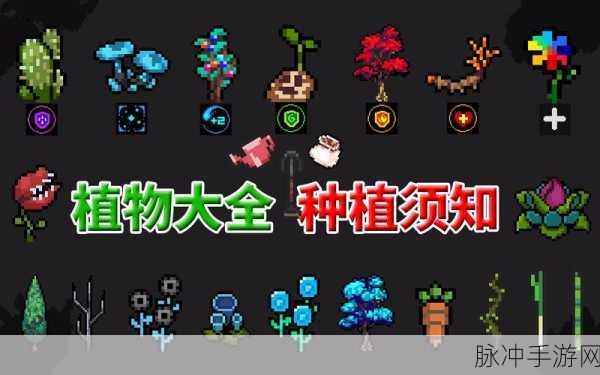元气骑士深度攻略,元气骑士特别支援呼叫器使用详解