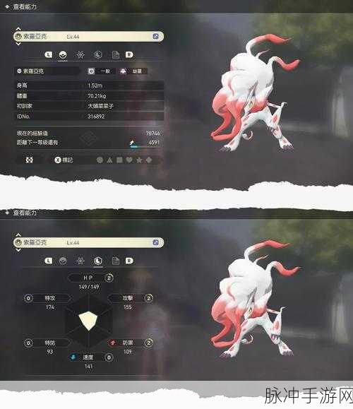 口袋妖怪白2吸取拳技能全攻略,解锁位置与实战应用