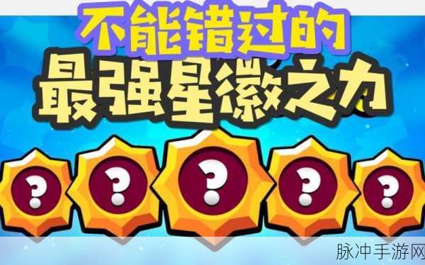 荒野乱斗星徽之力排行深度解析与攻略指南