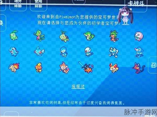 我的世界宝可梦手游攻略,轻松掌握自行车收纳技巧