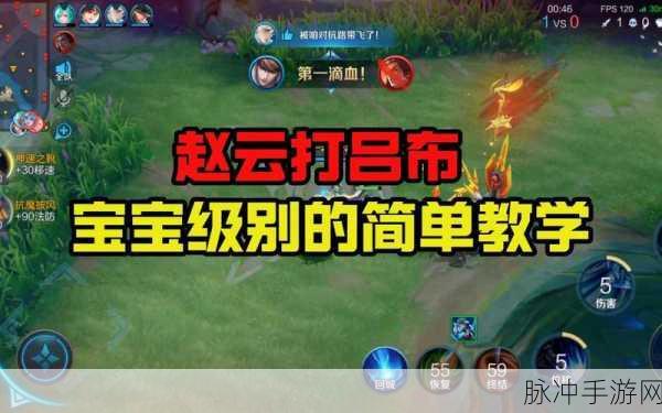 王者荣耀赵云教学,最新刺客玩法深度剖析,掌握攻略驰骋峡谷