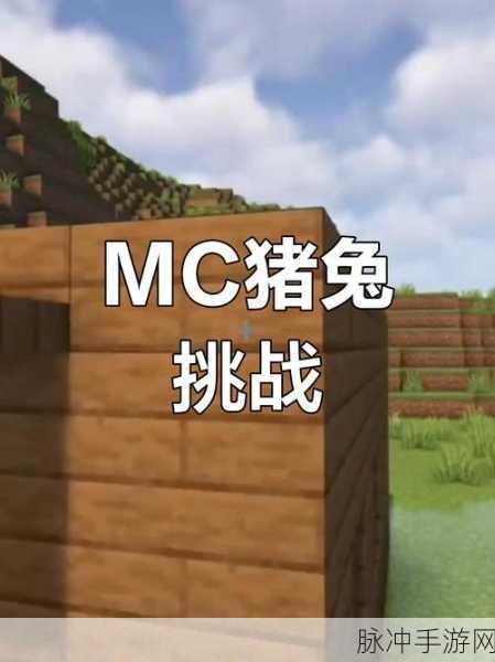 我的世界猪驯服全攻略,掌握驯服技巧、注意事项与实用方法