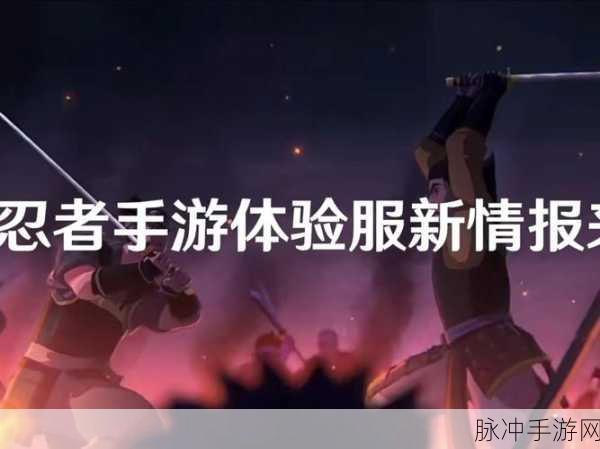 火影忍者手游战力飙升秘籍,全方位攻略助你快速成为战斗强者新解析