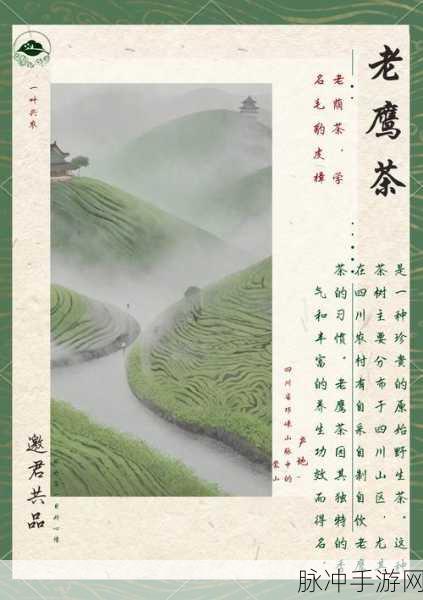 妄想山海，探索老鹰茶独特制作工艺的奇妙之旅