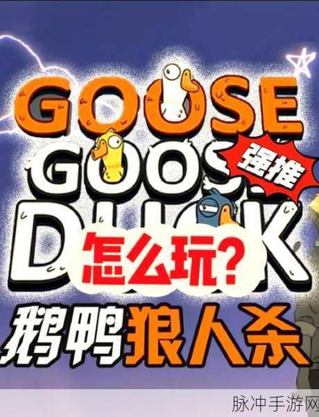 鸭子杀手机联机版游戏下载攻略，探索最近非常火爆的角色扮演类狼人杀游戏