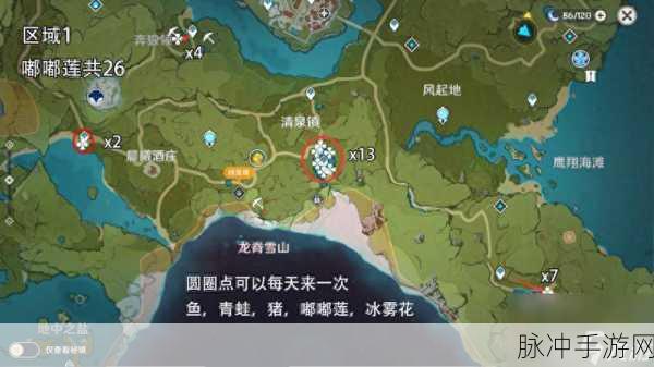 原神莲蓬获取地点全攻略,详细位置及采集方法一览