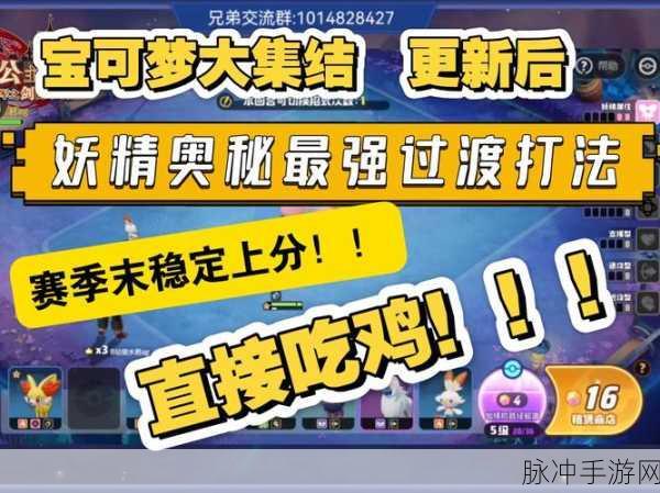 口袋妖怪VS,精英副本高效挑战与玩法技巧全攻略