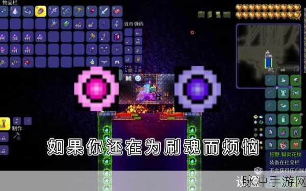 泰拉瑞亚玩家必看，揭秘高效获取神秘而实用的工程帽攻略