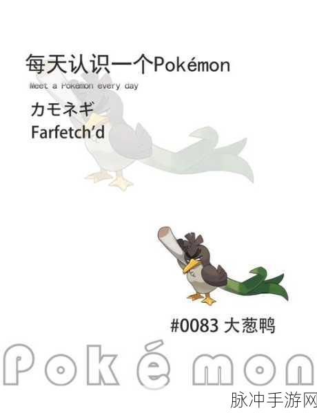 宝可梦大探险大葱鸭培养及技能选择深度攻略