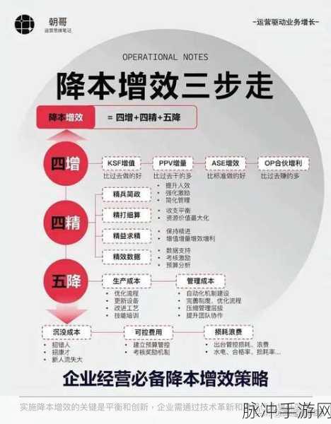 大掌门策略深化之路,精准投资与运营优化如何协同推进显著效果提升