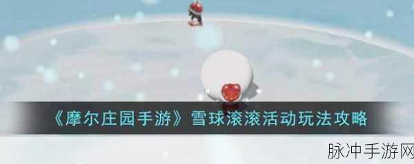 摩尔庄园冬季雪球狂欢，堆雪人全攻略，DIY雪人乐趣无穷大揭秘