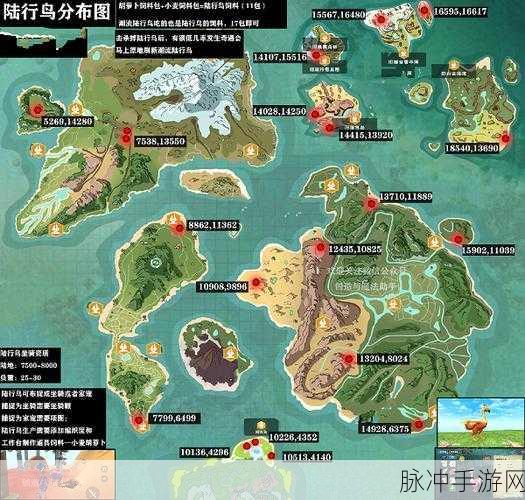 创造与魔法手游攻略，探寻陆行鸟踪迹与饲料喂养详解