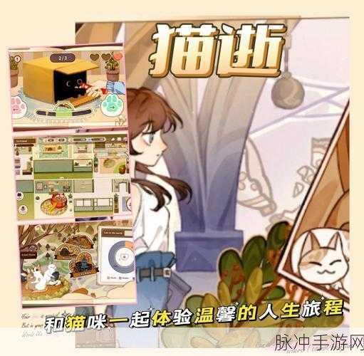 解压猫咪游戏下载，轻松养成治愈心灵的萌宠之旅