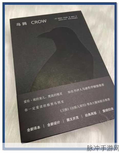 乌鸦之霜,探索像素世界的角色扮演之旅