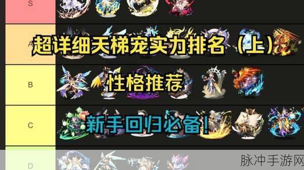 洛克王国宠物强度全解析,宠物强度排行榜深度攻略