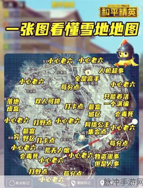 和平精英圣诞树探寻之旅，详尽位置解析与攻略