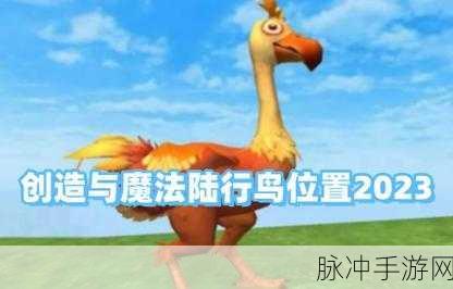 创造与魔法手游攻略,全面解析陆行鸟的抓取方法与位置分布