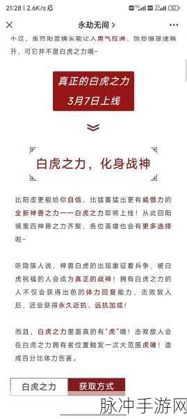 永劫无间玄武之力深度解析,基本信息及实战效果全揭秘