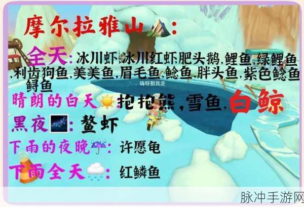 摩尔庄园手游沙丁鱼垂钓全攻略,解锁垂钓乐趣,收获满满